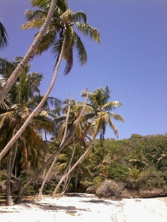 La Hacienda Hostel Las Galeras Kültér fotó